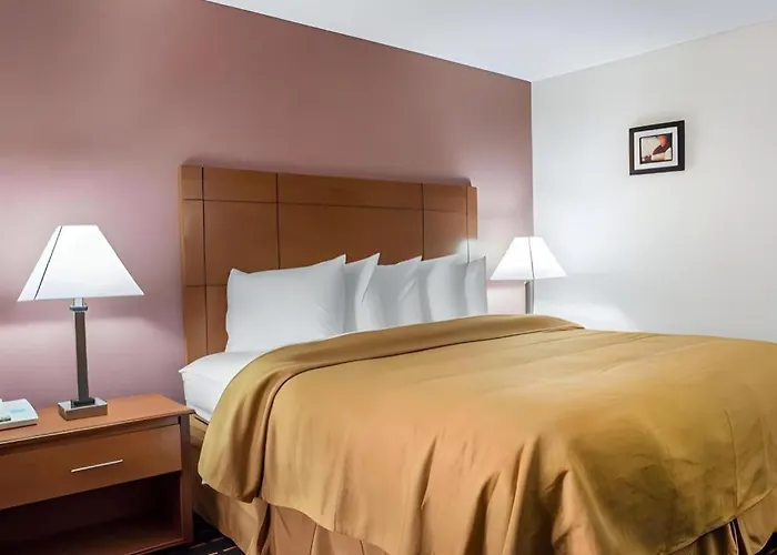 Quality Inn